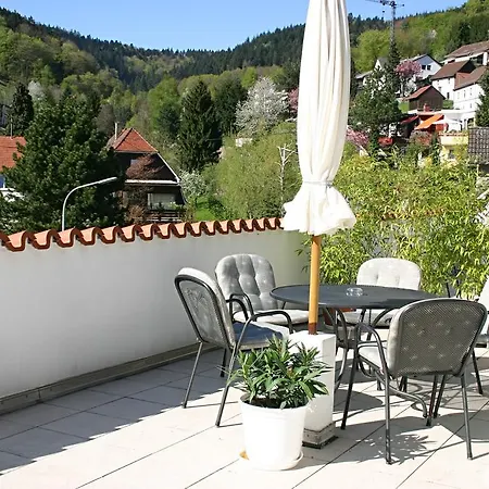 Apartment Apartmenthaus Zum Löwen - Ziegelhausen *