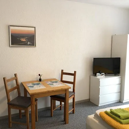 Apartmenthaus Zum Löwen - Ziegelhausen Apartment