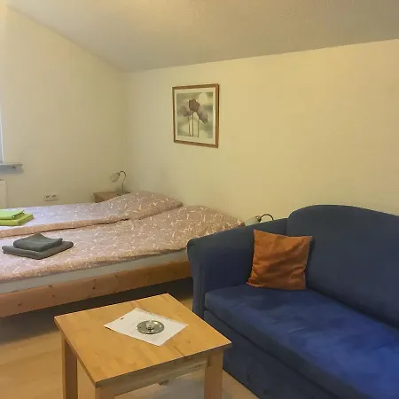 Apartmenthaus Zum Löwen - Ziegelhausen *